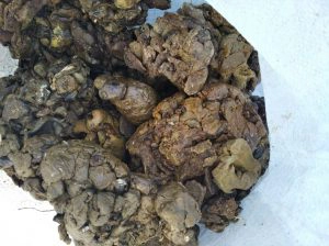 بره موم مرِغوب