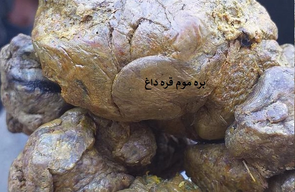 قیمت بره موم