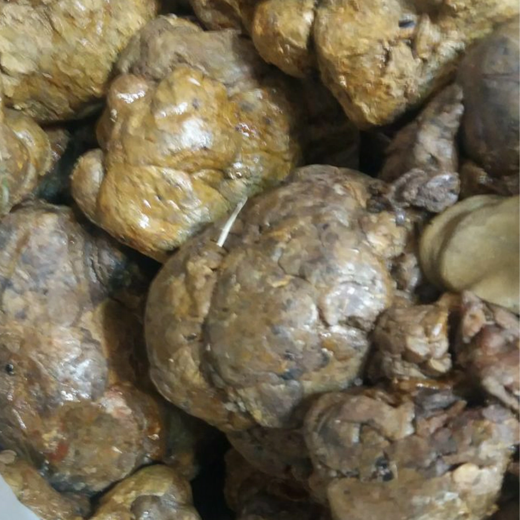 فروش عمده بره موم در کشور