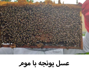 استثنایی ترین عسل درمانی