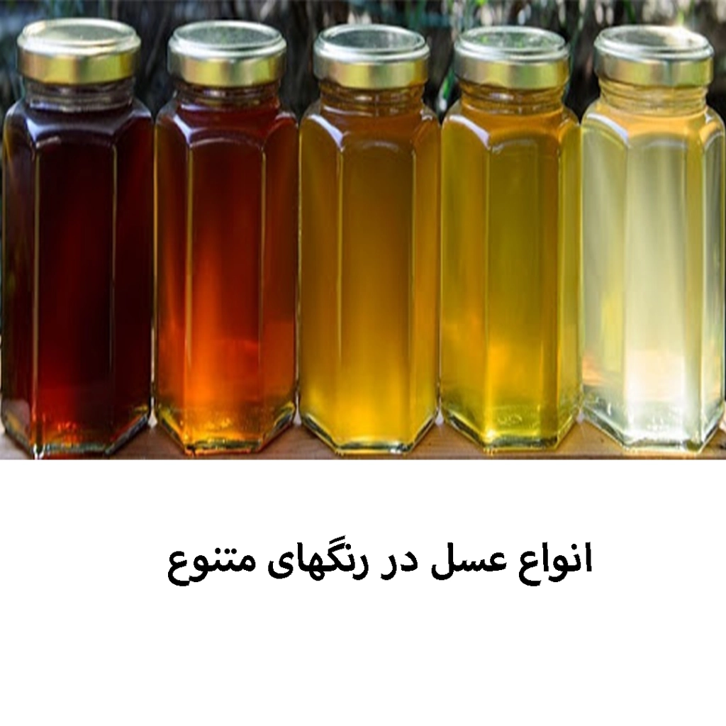 فروش عسل طبیعی ناب