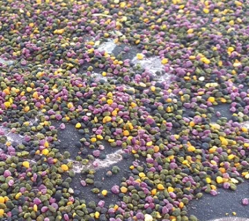 گرده گل طبیعی