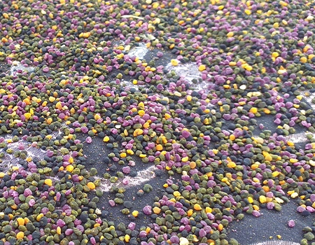گرده گل طبیعی