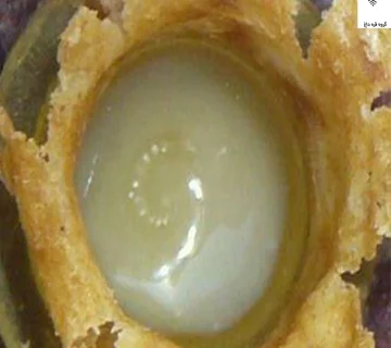 خرید ژل رویال