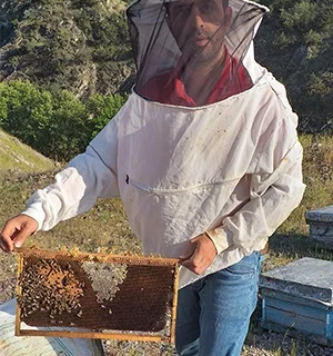 عسل طبیعی اصل