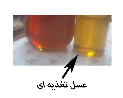 خریدار عسل تغذیه ای