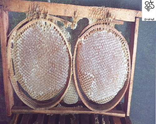 خرید عسل گون