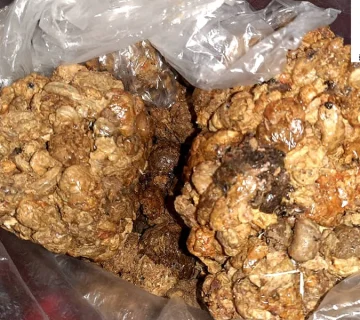 خریدبره موم خالص