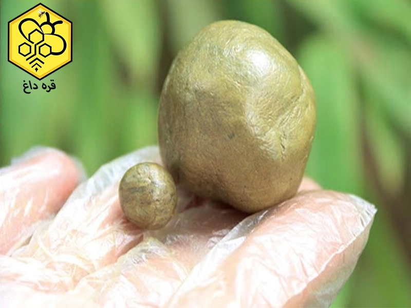 تجارت و صادرات بره موم