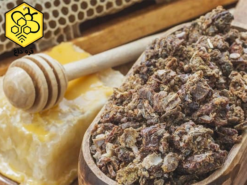 تجارت و صادرات بره موم