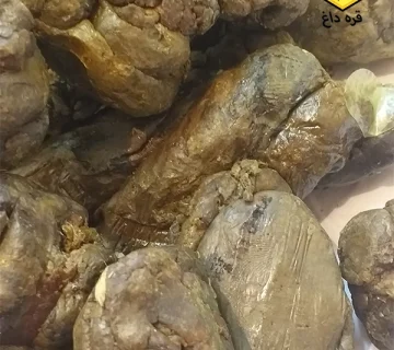 تجارت و صادرات بره موم