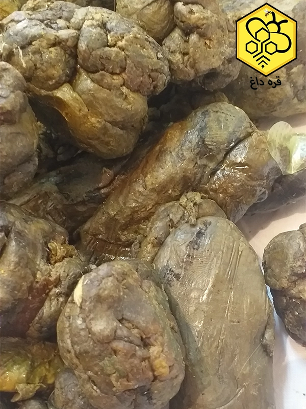 تجارت و صادرات بره موم