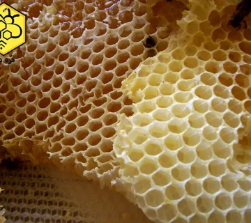 فروش موم عمده