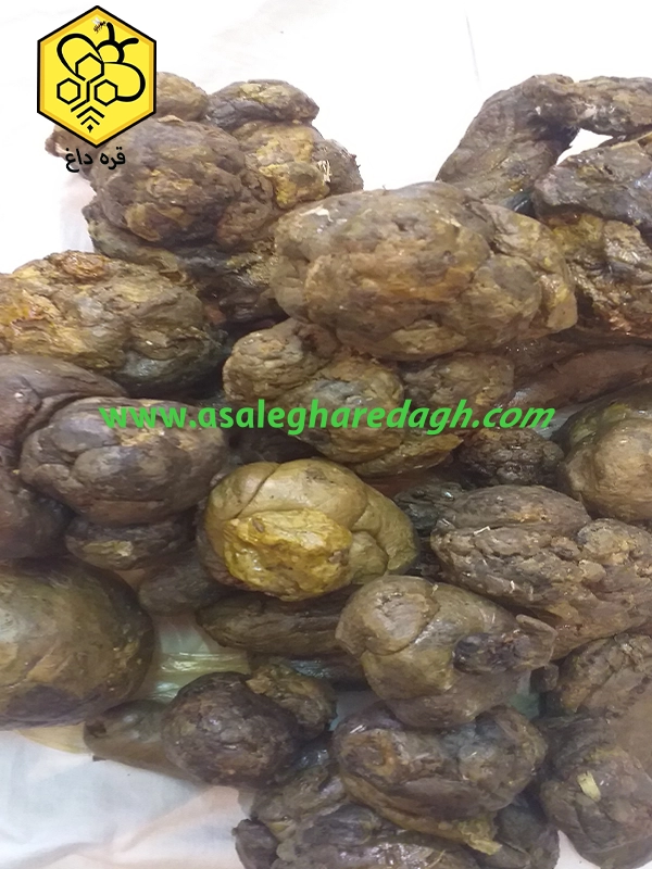 عمده فروشی بره موم