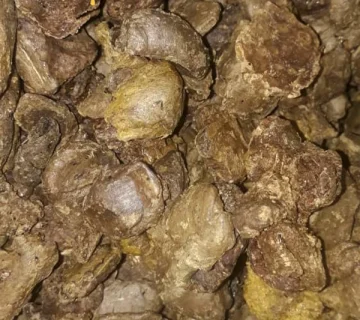 قیمت جهانی بره موم