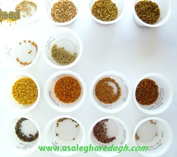 تولید کننده گرده گل