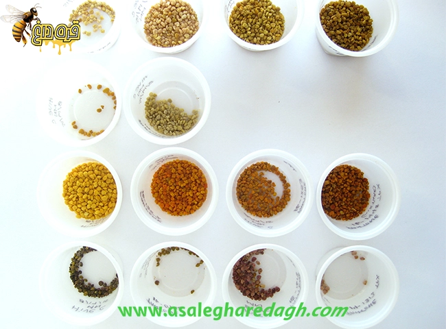 تولید کننده گرده گل