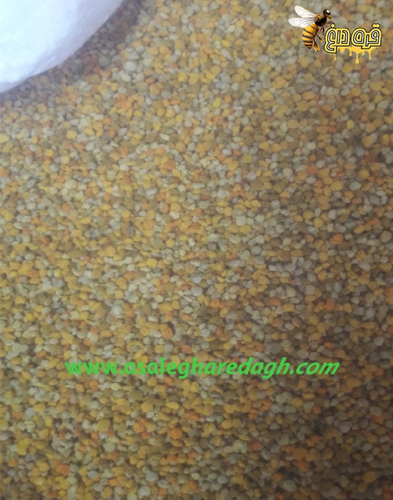 خرید گرده گل بیدمشک