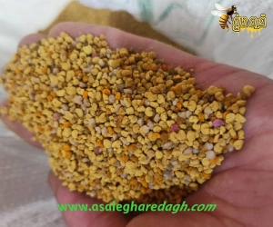 خرید گرده گل عالی