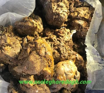 عمده فروش بره موم