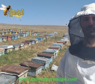 خرید بهترین بره موم