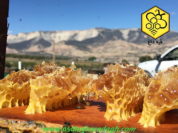 قیمت عسل طبیعی