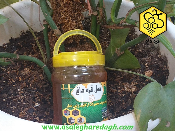 قیمت عسل طبیعی
