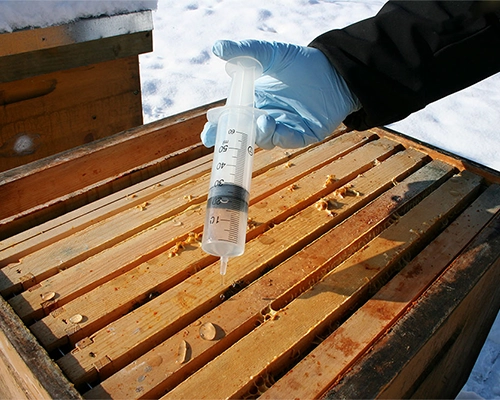 داروی ضد کنه واروآ