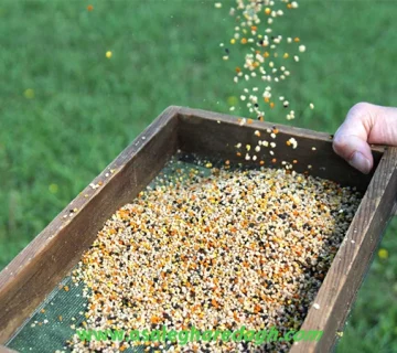 عمده فروش گرده گل