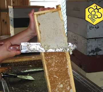 تشت خرک برداشت عسل