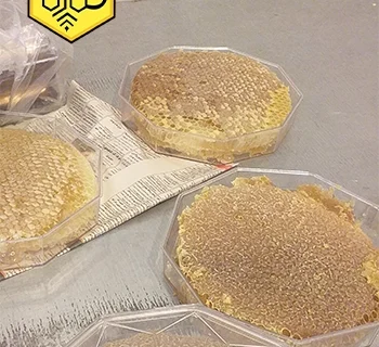 خرید عسل عمده