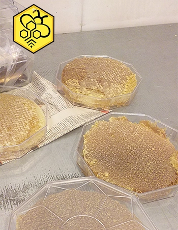 خرید عسل عمده