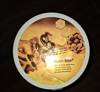 قیمت نوتری بی nutri-bee