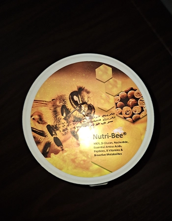 قیمت نوتری بی nutri-bee