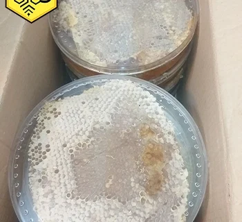 خرید عسل سبدی