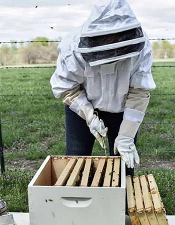 لوازم زنبورداری