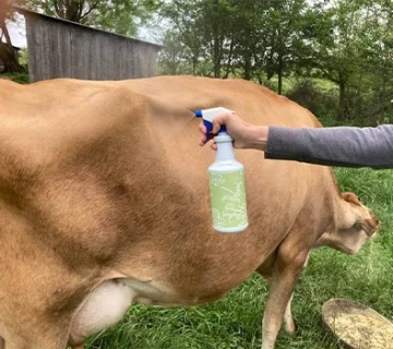 انواع سم مگس 