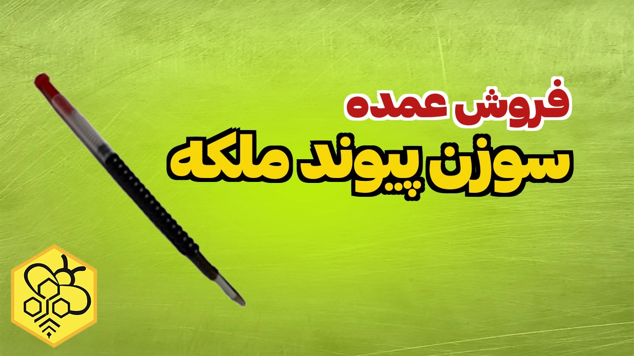 سوزن پیوند ملکه