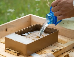 مکمل تقویتی اصل زنبور