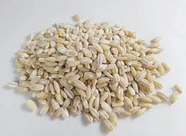 جو پوست‌کنده