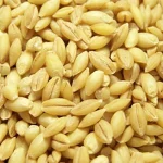 جو پوست‌کنده